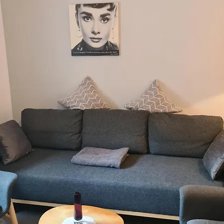 度假居 Ferienhaus Am Fahrkopf